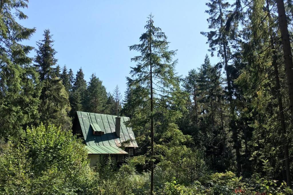 Enchanted Forest Chalet Tatranska Strba Exterior photo