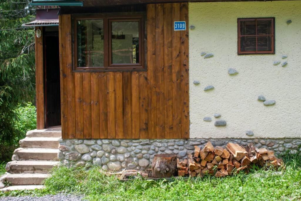 Enchanted Forest Chalet Tatranska Strba Exterior photo
