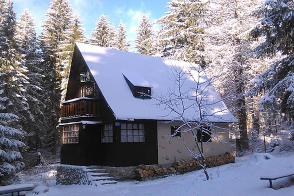 Enchanted Forest Chalet Tatranska Strba Exterior photo